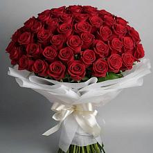 Букет 101 Красная роза Блэк Мэджик в Октябрьске Самарская область
