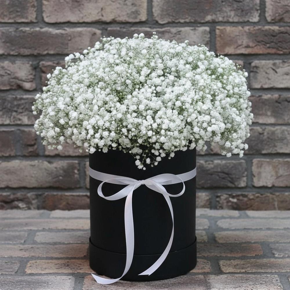 Цветочная композиция из Гипсофила в шляпной коробке в Октябрьске Самарская область