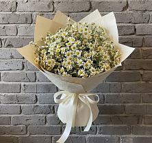 Букет цветов из:  Ромашки в Октябрьске Самарская область