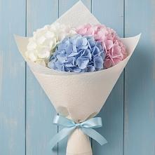Букет цветов из:  Гортензия #REPLACE_PRED# Октябрьске Самарская область