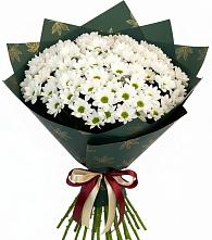 Букет цветов из:  Хризантемы в Октябрьске Самарская область