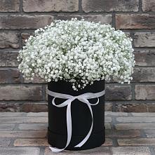 Цветочная композиция из Гипсофила в шляпной коробке в Октябрьске Самарская область