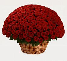 Премиум букет из: Розы в Октябрьске Самарская область